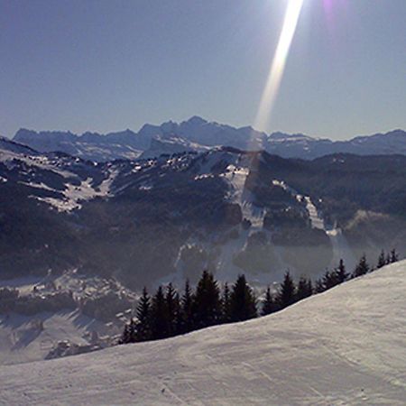 Les Gets Le Grand Paradis Экстерьер фото
